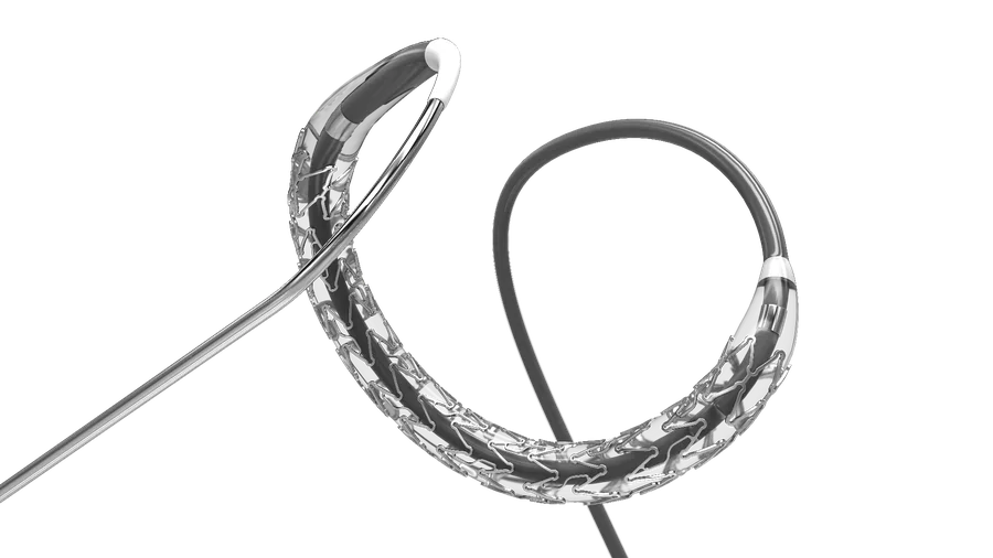 R-Stent — Sirolimus-eluting coronary stent