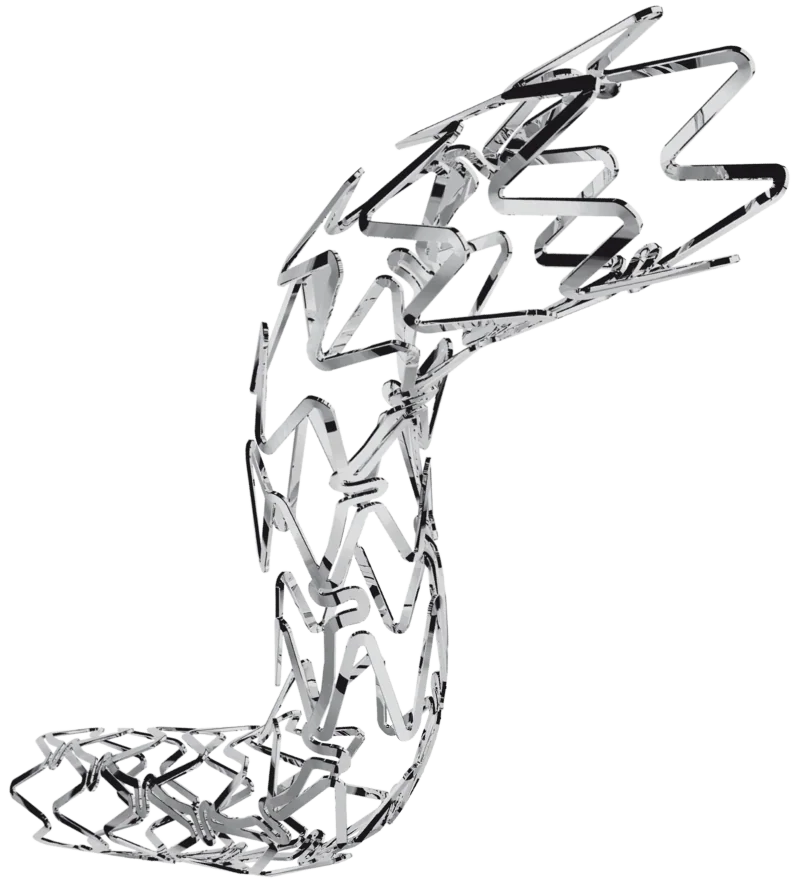 PUT NIY — Sirolimus-eluting coronary stent on a delivery system