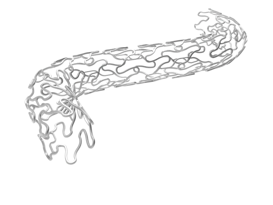 NASH+ — Everolimus-eluting coronary stent